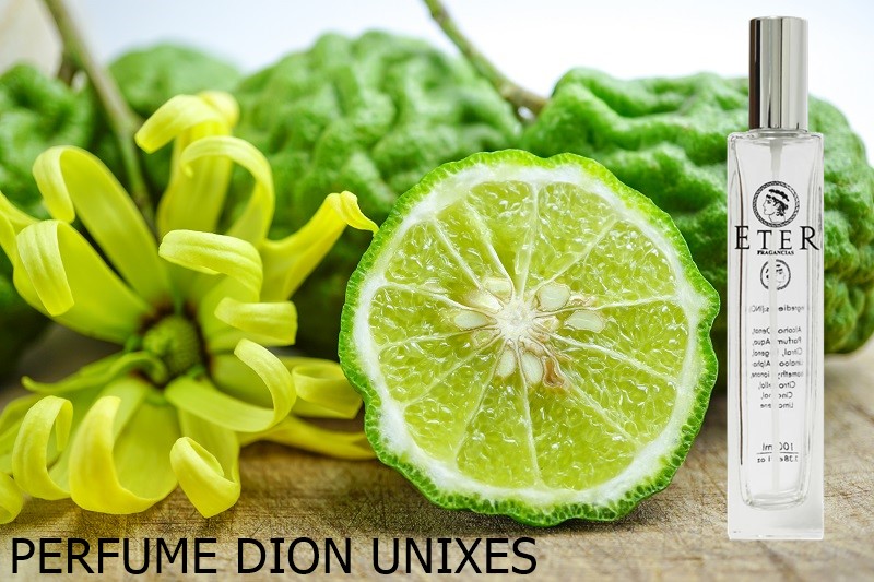 Eter Fragancias Dion - Imagen 3