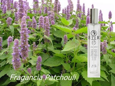 ETER FRAGANCIAS PACHULÍ - Imagen 2