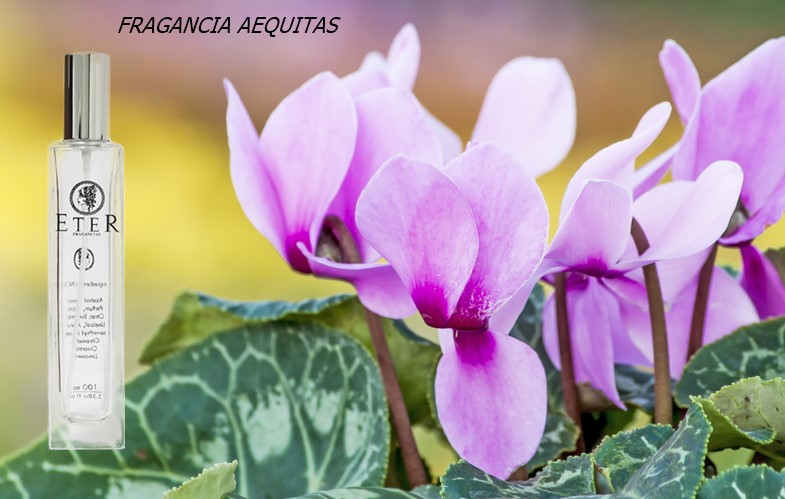 Eter Fragancias Perfume Aequitas - Imagen 2